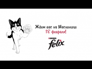 Felix maslenitsa