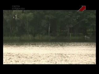 Охота и рыбалка ловля карпа
