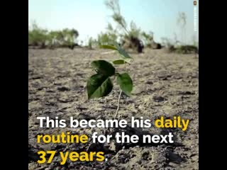 Guy plants entire ecosystem