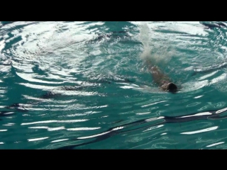 Соло ласковая настя канск 2018