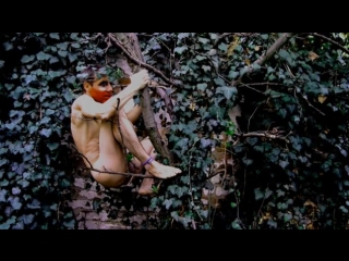Jungle boy sd