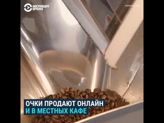 Экологичные оправы для очков из кофейной гущи