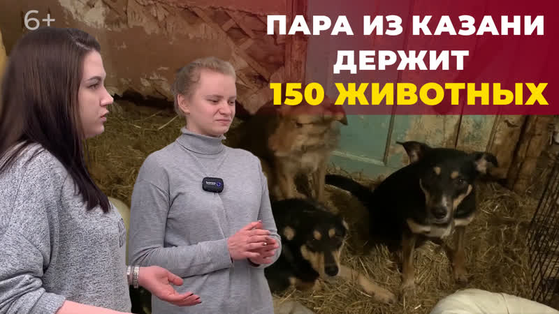 Мини приют для бездомных молодые как две хрупкие девушки спасли более 150 кошек и секс