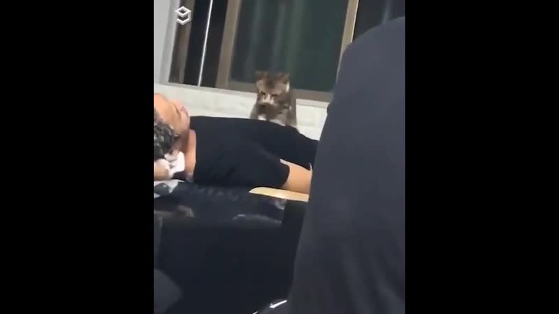 Tuna porn video – Подтвержденный gotta work hard for that tuna⠀