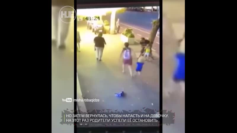 Неадекватка из тбилиси пойдёт под суд за нападение на ребёнка