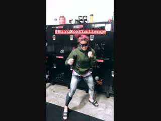 Gina mazany bird box challenge