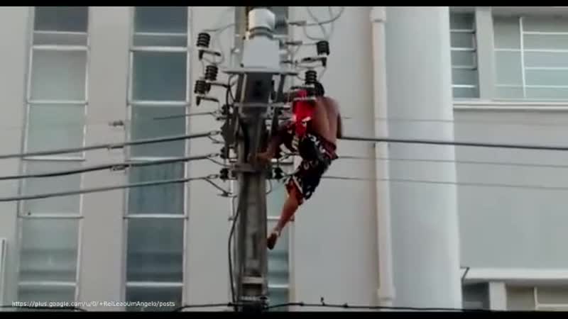 Дайте ему премию дарвина