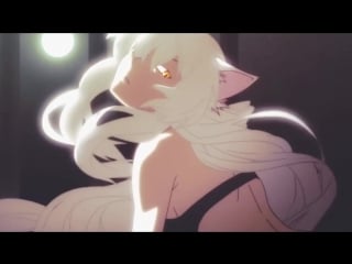 Neko hanekawa kawaii