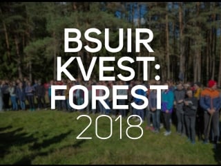 Bsuir kvest forest 2018