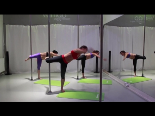 Vertigo dragonfly training inspiration total pole fitness workout vol 6