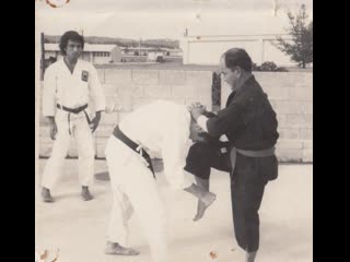 Eizo shimbukuro shobayashi shorin ryu