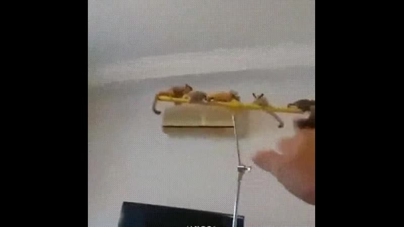 Летуны (vhs video)