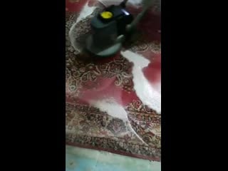 Video 20191204 225017 mp4