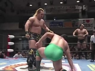 Ajpw 09/19/2011 flashing tour