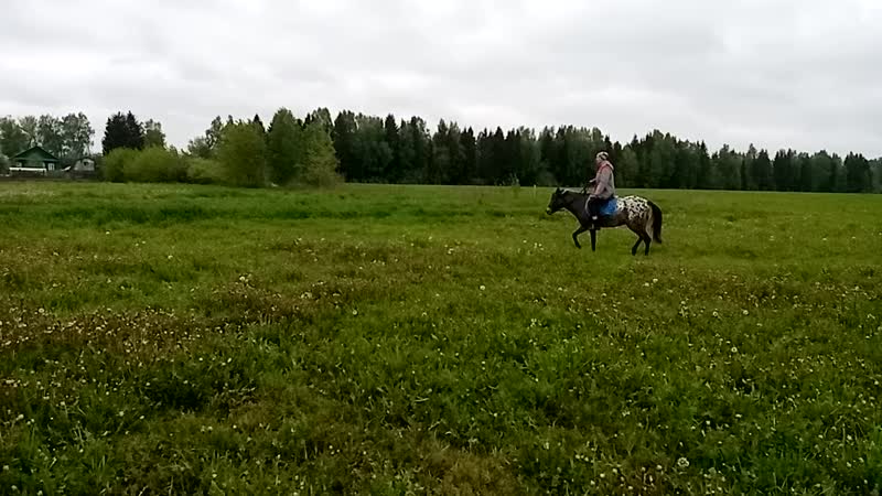 Макар и оля