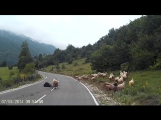 Вендетта шашлыка (vhs video)