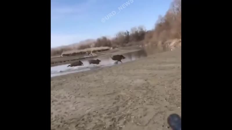 Бля, патроны закончились!