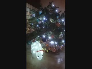 Vid 20181230 231015 mp4