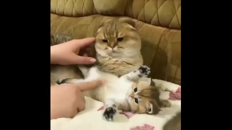 Объясни свою маленькость