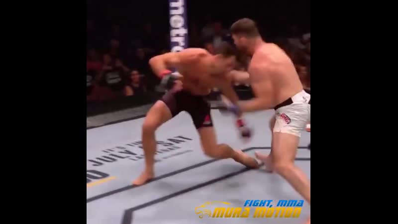 Ufc 199 michael bisping vs luke rockhold