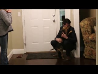 Dog reacts to return of nathan after two year mormon mission