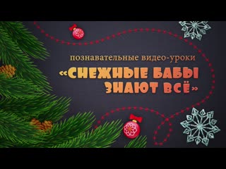Новогодний видео урок «снежные бабы знают всё!» урок 6