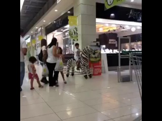 What the [vines]