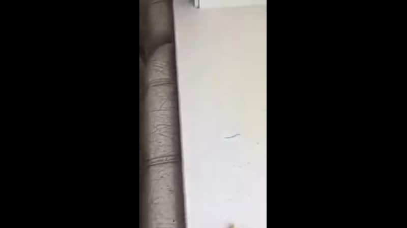 Инволвер porn video – Салфетка "инволвер" отмоет фломастер