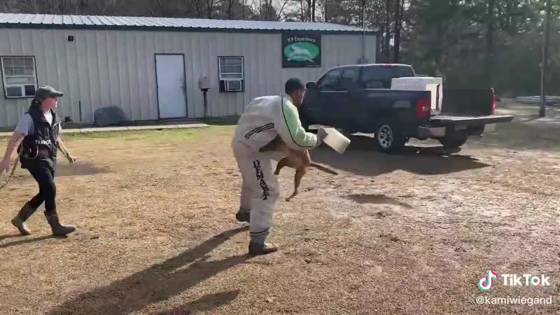 Chipkey кусака спасака?