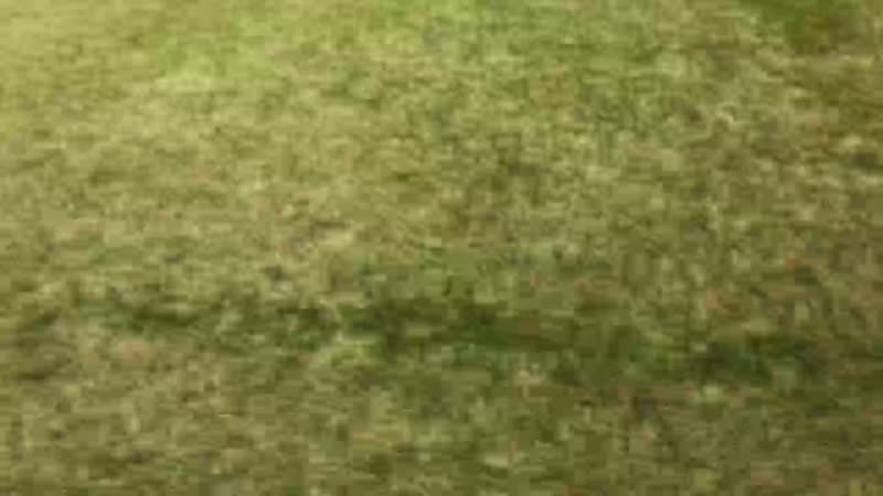 Фаз выборгский 2012 live