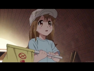 【hataraku saibou】 chilled platelet