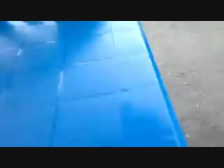 Брюнетка на черной приоре