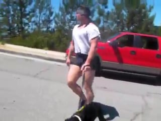 Gachimuchi walk the dog