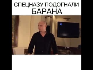 Спецназу подогнали барана 🤣🤣🤣