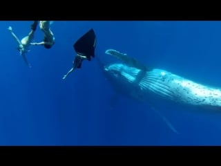 Moon boots love strong (music video) hd