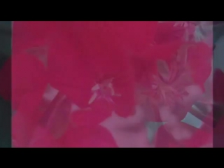 Feeling hungry? here we go some red flowers 🐘 #re лондон