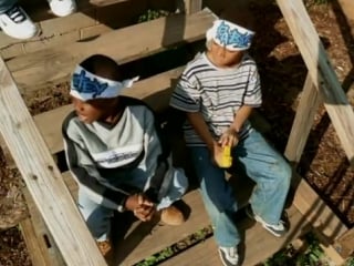 Petey pablo raise up