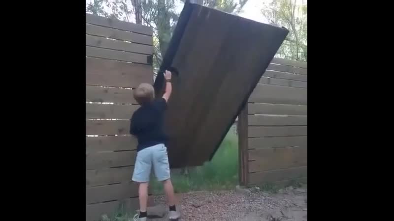 Интересная калитка