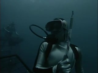 Повторное открытие мира #32 белая акула одинокий властелин моря