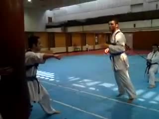 Wkf karate iranian training