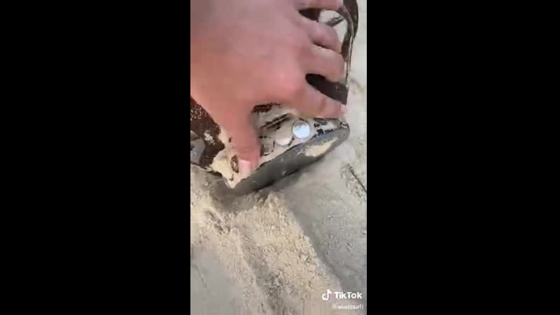 Сбор урожая (vhs video)