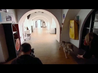 The glasgow school of art (2009)