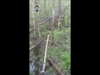 Кабан порвал охотника