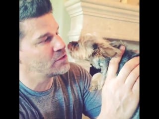 David boreanaz