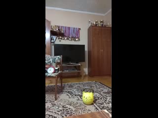 Vid 20200426 210132 mp4