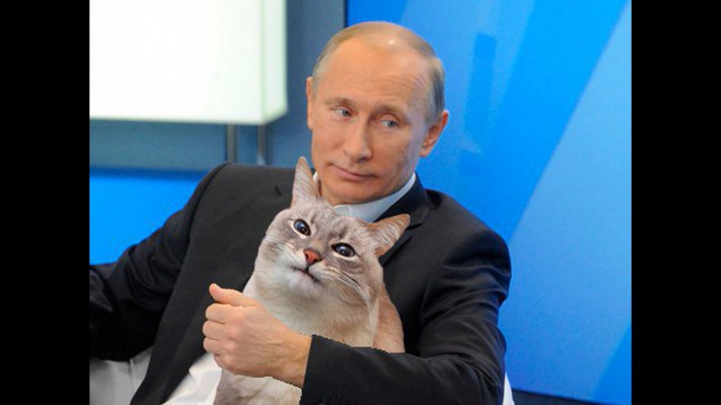 Котейка