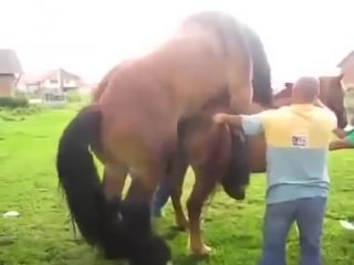 Японское порно аниме для ценителей жанра