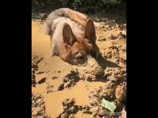 121243811 2500762800222036 2285973806120765384 n ll35zquq addi mp4