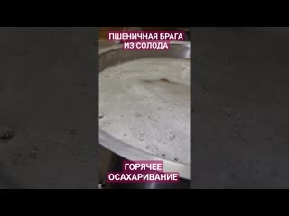 Пшеничный самогон горячее осахаривание #самогон #солод #брага