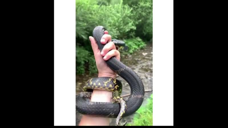 Бесстрашная русская девушка